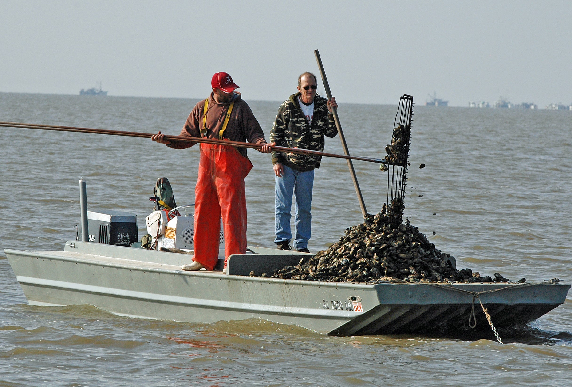 Alabama's Oyster Production Makes a Comeback Outdoor Alabama